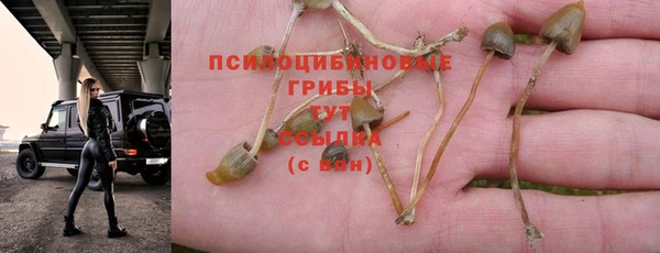 кокаин премиум Медногорск