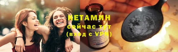 шишки Беломорск