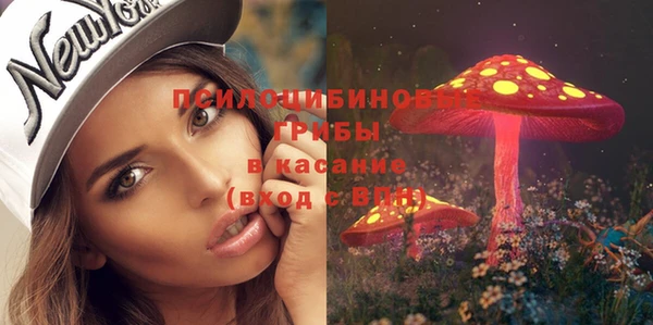mdma Богданович
