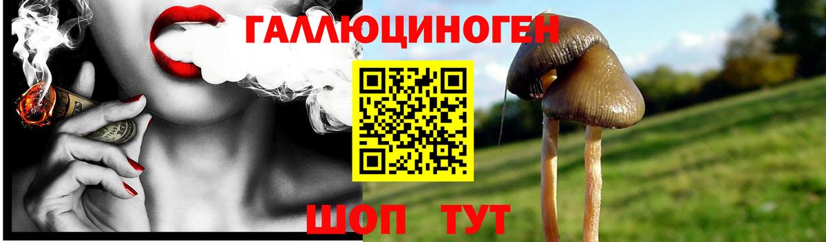 Псилоцибиновые грибы мухоморы Армавир
